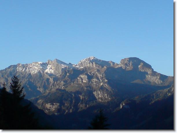 Nächstes Bild